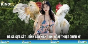 Đá gà cựa sắt